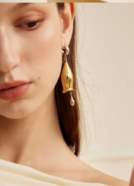 Fashion Earrings