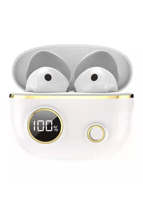 Smart Noise-Cancelling Earbuds