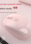 256 rechargeable dual-mode mouse