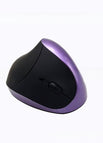 G7039-B Right Hand 2.4G Battery Purple