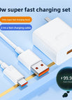 100W charger + 2.1m Type-C cable