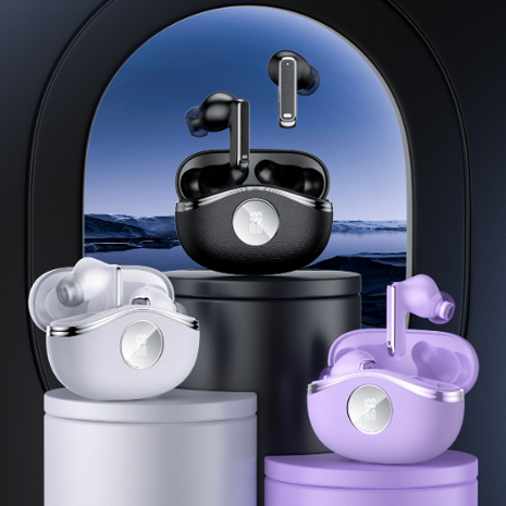 Wireless Translation Bluetooth Earbuds